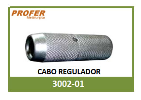 CABO REGULADOR 3002-01
