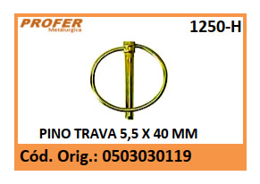 PINO TRAVA 5,5 X 40 MM