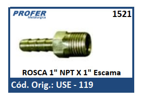 ROSCA 1 NPT X 1 Escama